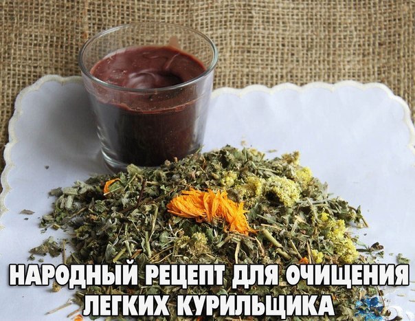 Травы для очищения легких у курильщиков Травы для очищения легких у курильщиков