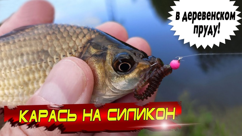 Можно ли поймать карася на окуневые силиконовые приманки? Можно! В этом ...