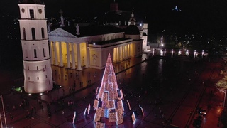 Vilniaus Katedros aiktje iebta siurreali Kald egl