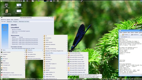 office2007 on Linux Mint