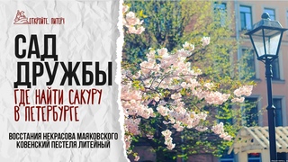 Сакура! Как найти Через ВОССТАНИЯ НЕКРАСОВА КОВЕНСКИЙ МАЯКОВСКОГО ПЕСТЕЛЯ ЛИТЕЙНЫЙ к Саду дружбы!