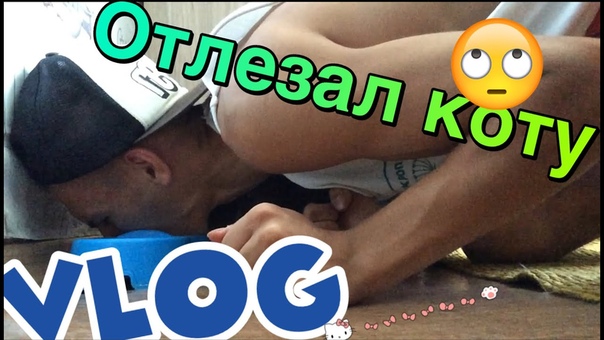 VLOG : ПОЛИЗАЛ КОШКЕ ПИСЬКУ