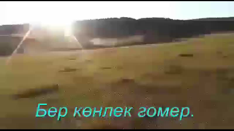 Видео от Анисы
