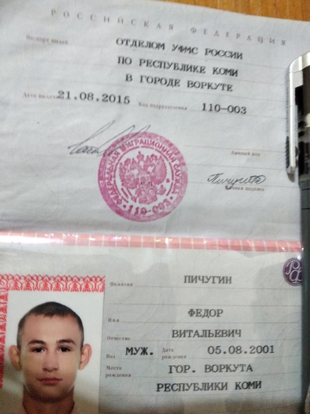 Анкета сфера деятельности