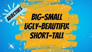 Big Small | Short Tall | Beautiful Ugly | Happy Sad | Opposites | Adjectives