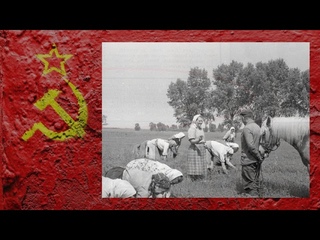 Тритисячниці - знате, хто це Історія радянських доярок.