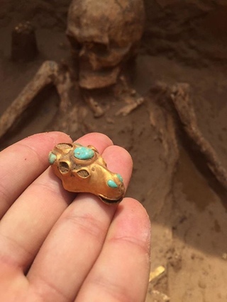 раскопки гнездово клад. золото сарматов филипповские курганы. филипповские курганы в оренбургской области. археологические раскопки в астраханской области. золото археология.