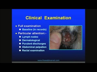 Подход к случаям полиурии и полидипсии / Approach to a case of polyuria and polydipsia (бесплатная часть вебинара)