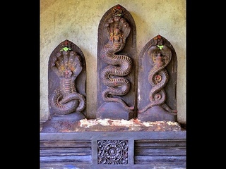 naga gayatri chant 108 times a day