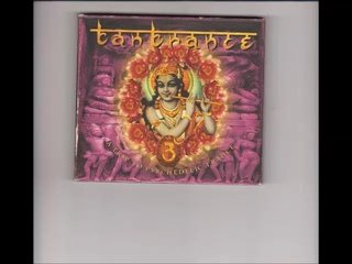 08. The ANTIDOTE - Kicking Test