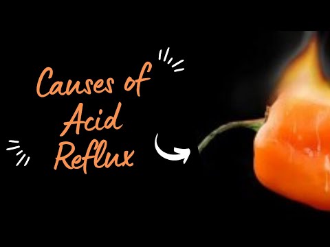 Causes of Acid