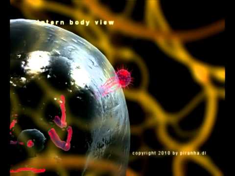 Virus 3 D Animation virus 3d