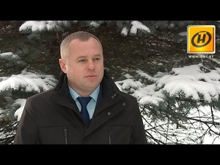 Сергей Новиков – об электронном учёте древесины и мобильном приложении