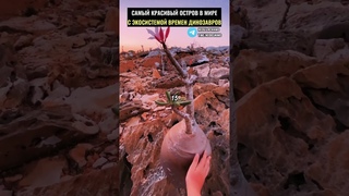 Самый красивый остров в мире с флорой и фауной времен динозавров