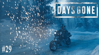 Days Gone Стрим. в 2к. Полное прохождение. Полковник запер Сару!!!! +18