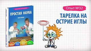Книга 1 / Опыты на равновесие / 32 - Тарелка на острие иглы