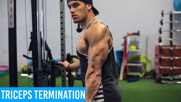 Triceps Termination Marc