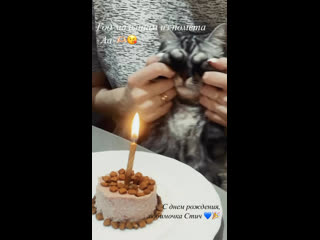 Video by Olesya Podagova