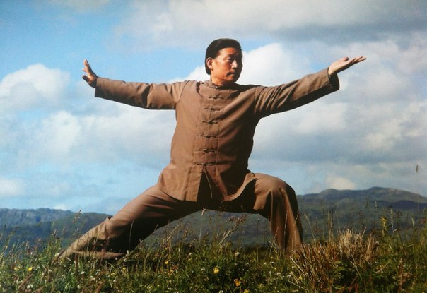 владимир амида багуачжан. замир тагиров цигун уфа. мэйхуа чжуан. гимнастика ушу цигун шамиль гайсин. багуа цигун.