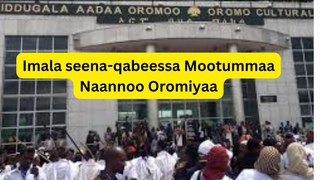 Imala Waggoota Soddomaa #yaadimedianetwork #ethiopianews