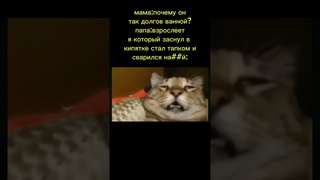 #pubg #memes #мем #edit #врек #funny #duet #мемы #пабг #quackity#fyp#реу#рекомендации