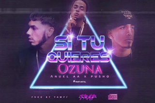 Ozuna x Anuel AA x Pusho - Si Tu Quieres