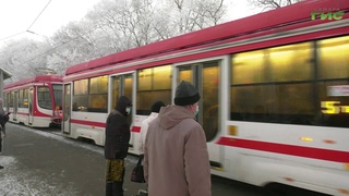 Больше сотни протоколов об административных правонарушениях составлено на самарских пассажиров