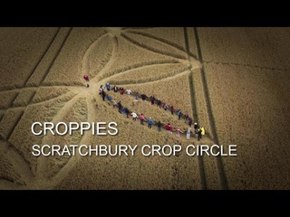 Croppies Enjoying The Scratchbury Crop Circle