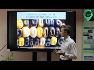 VILIPO 2020 FINALIST PRESENTATION  ENV1024. Gold medal in 2020.