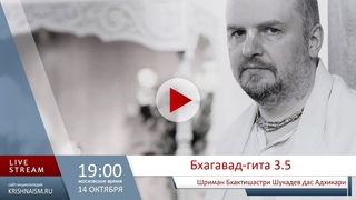 Бхагавад-гита 3.5 (Шриман Бхактишастри Шукадев дас Адхикари)