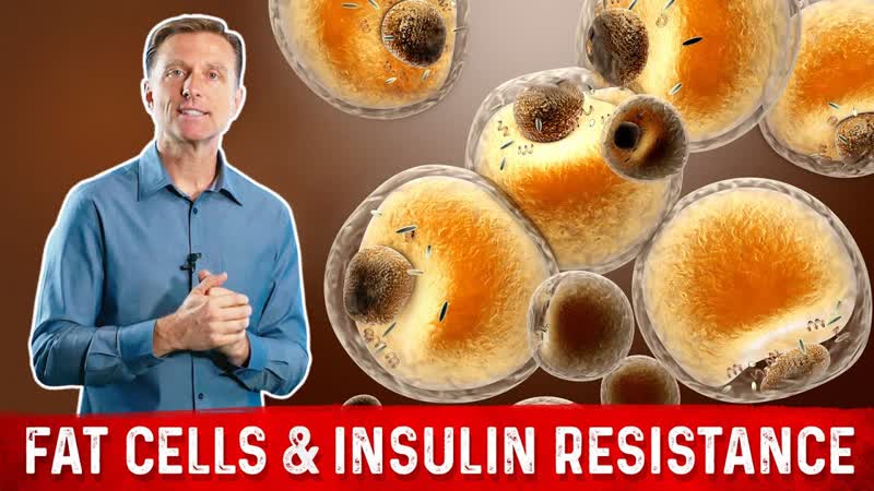 Does Losing Weight Reduce Insulin