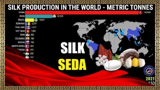 Silk Production in The World