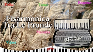 Fisarmonica tra le fronde | Folk Liscio Italia 2024 | Ballo da Sala | Valzer, Cumbia, Paso Doble
