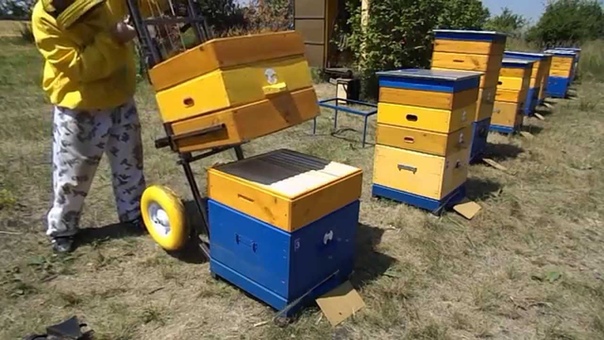 ТЕЛЕЖКА ПОМОЩНИК ПЧЕЛОВОДА TROLLEY ASSISTANT