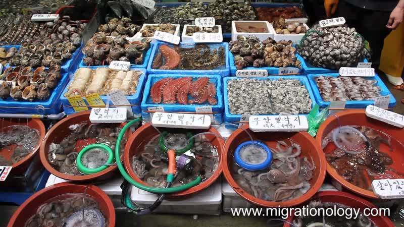 Fresh Seafood at Noryangjin Fish Market in Seoul, South