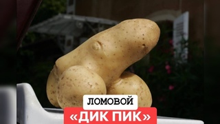 ЛОМОВОЙ - Дикпик