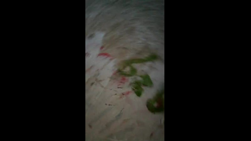 QQ空间视频_20200916102146.mp4
