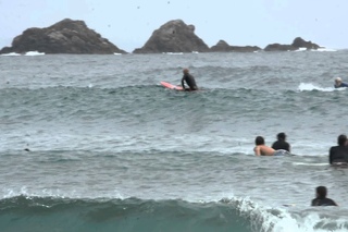 Spectacular Dolphin Surfing at Byron Bay
