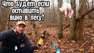 КАКИЕ ЖИВОТНЫЕ ПРИДУТ В ЛЕСУ НА ВИНО И КУРИЦУ ФОТОЛОВУШКА В ЛЕСУ