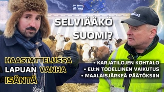 Taistelu Pohjolan maaseudun puolesta /NAUTAHLYTYS - Peltola: Vihre hmptys pit lopettaa heti.