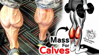 Best Workout Massive for Calves