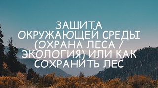 Как сохранить лес.