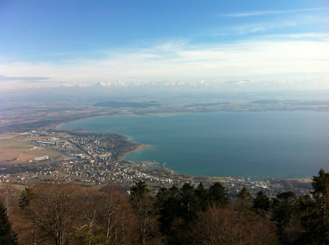 Світлана Курiнна | Киев