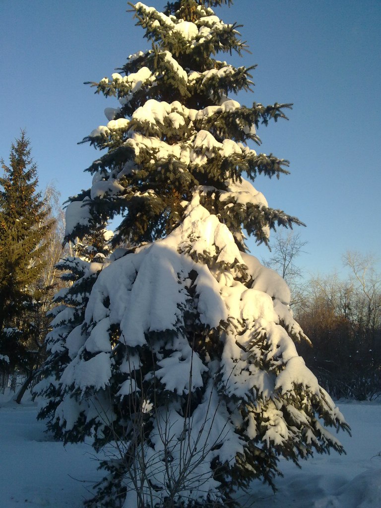 Сергей Лайшевских | Екатеринбург