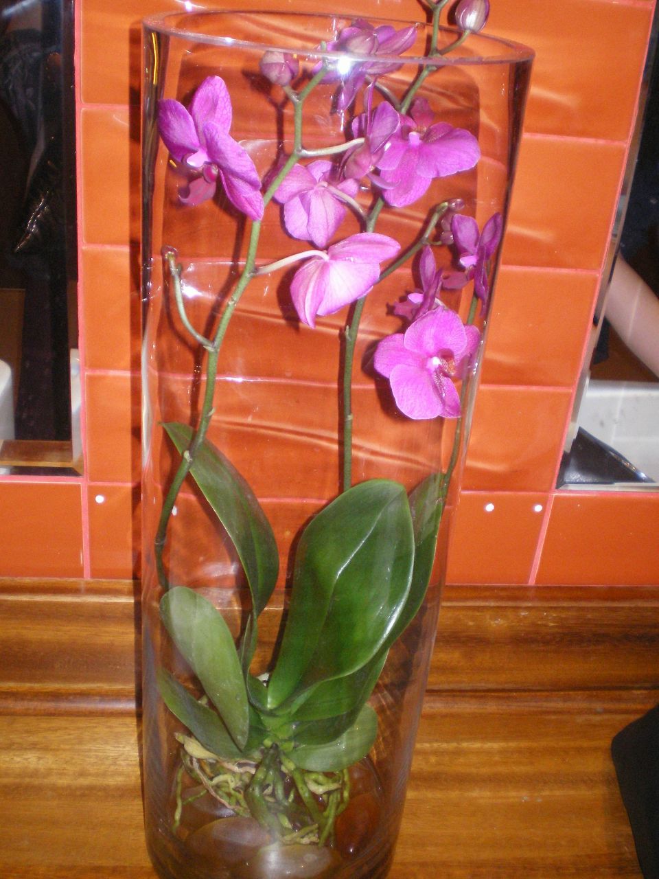 Ирина Ревво | Кировск