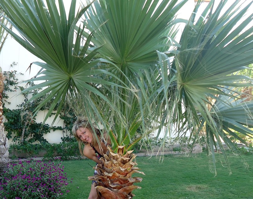 Анжелика Дунай | Гродно