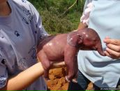 №28 Вера Анфилова 04.08.1988: профиль, фото, статус - ВКонтакте