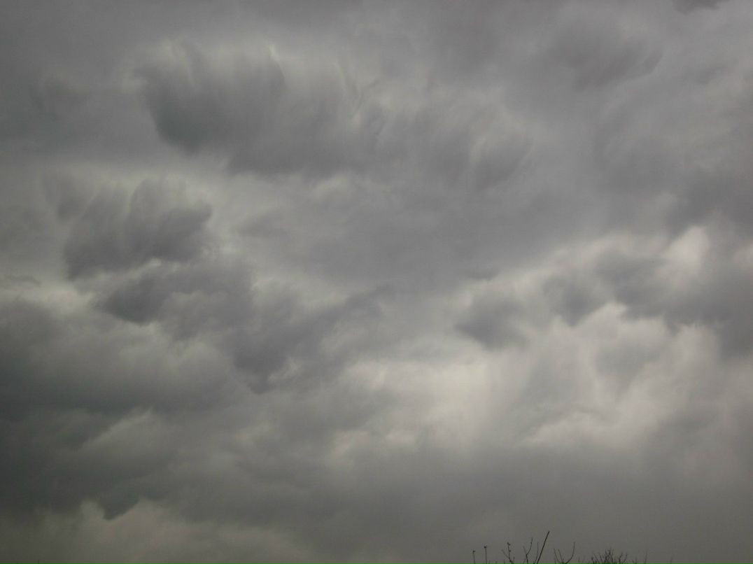 Иван Тимонин }{@PT | Ставрополь