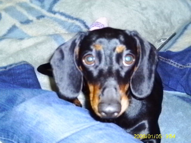 Вадим Петров | Санкт-Петербург