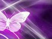 Галина Шукайло | Красноярск